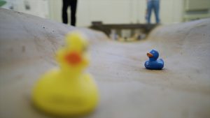Eine gelbe und eine blaue Quietsche Ente in einem künstlichen Flussbett