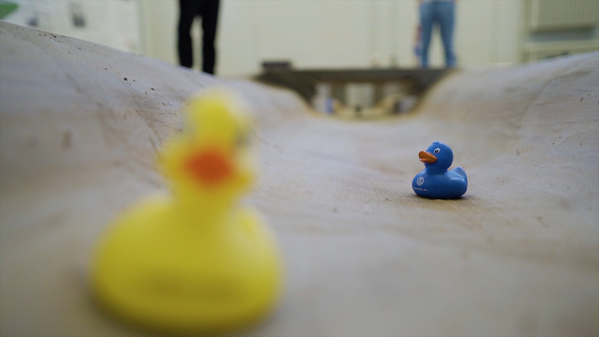Eine gelbe und eine blaue Quietsche Ente in einem künstlichen Flussbett
