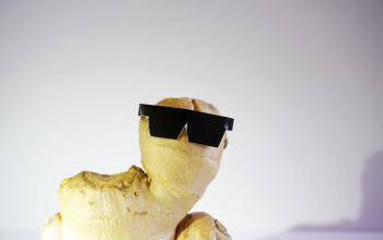 Ingbert das Maskottchen Podcast-Reihe „Ingwertee mit…“, die Ingwerknolle mit aufgesetzter Sonnenbrille